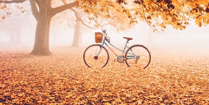 Dieta e vjeshtës, këshillat për të humbur peshë