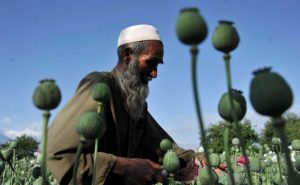 Opium-mania: Kur droga quhej “ilaç i shenjtë”