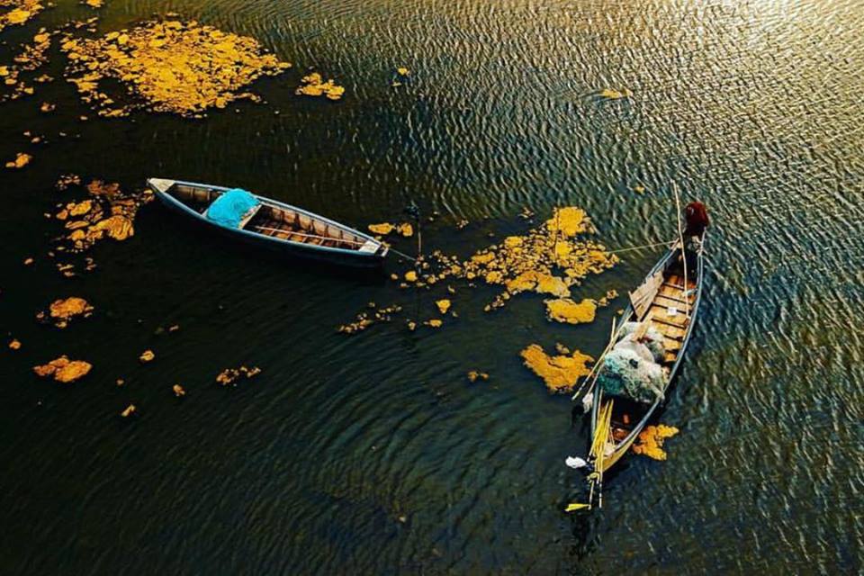 FOTOT/ Magjia e vjeshtës në Divjakë!