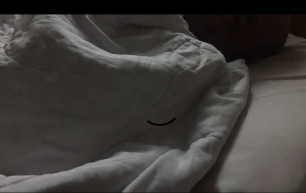 Deputeti i PD nxjerr videon: Qytetari u plagos nga policia, ngjarja mbahet e fshehtë