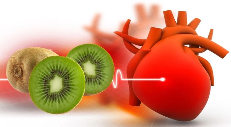 Vuani nga tensioni i lartë? Ja pse mjekët këshillojnë të hani kivi