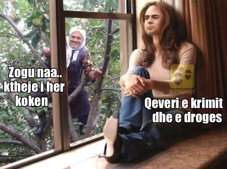 FOTOT/ ‘Zogu ktheje kokën’, rrjeti humor me ‘dashurinë’ Rama-Basha