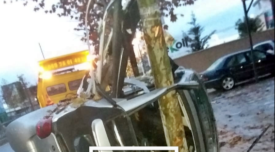 ‘Smarti’ ndahet në dysh pasi u përplas me pemën, plagoset rëndë një vajzë