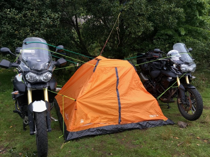 FOTOT/ 11 mjeshtra të zgjedhjes së problemeve që meritojnë medalje të artë