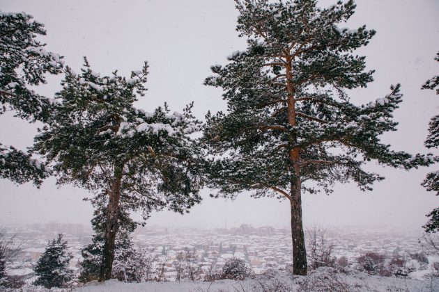 GALERI / Korça zbukurohet nga dëbora