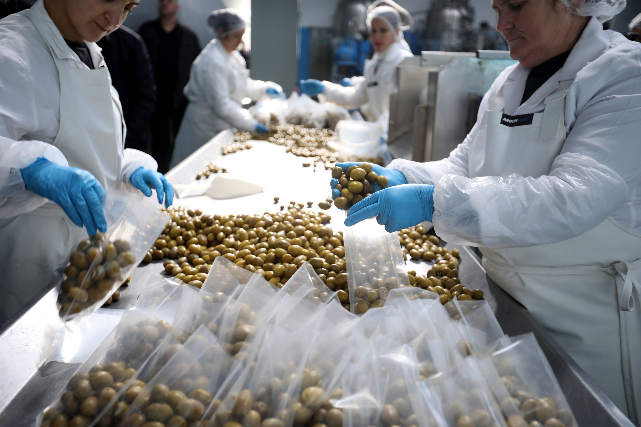 Lezhë/ Rama në fabrikën e përpunimit të ullirit: Produktet shqiptare me standarde!