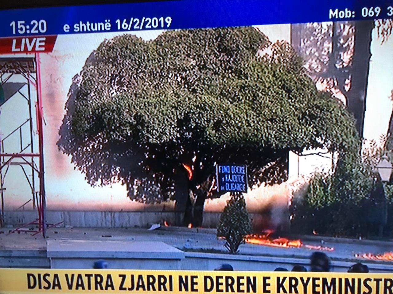 FOTOT/ Dhuna e verbër PD-LSI kalon çdo limit, militantët i vënë flakën edhe pemëve