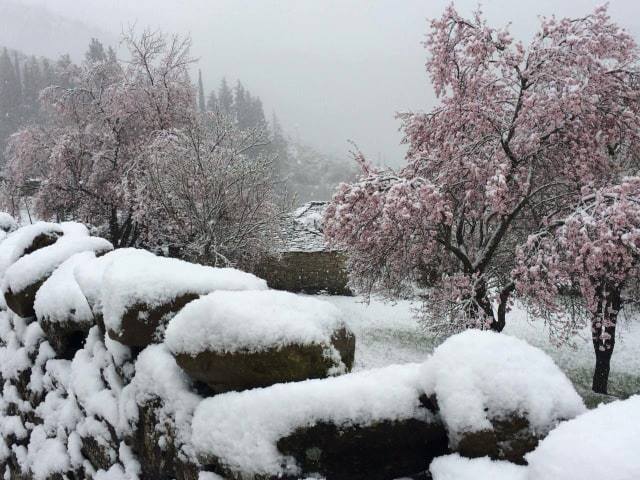 Parashikimi i motit për çdo qark, e Mërkurë 13 mars 2019
