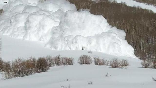 VIDEO / Orteku merr përpara kameramanin teksa po e filmonte
