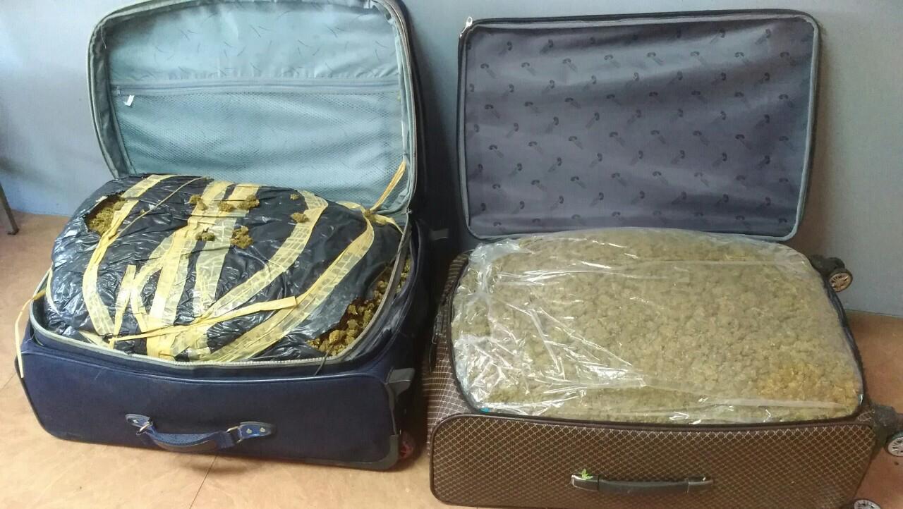 Sekuestrohen mbi 26 kg marijuanë në kufirin greko-shqiptar, ndalohet 56-vjeçari grek