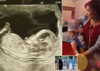 E rëndë/ 26-vjeçarja 8 muajshe shtatzënë theret për vdekje në Londër, foshnja në gjendje kritike
