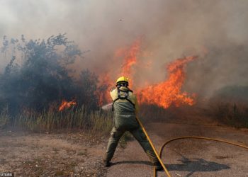 Portugalia në ‘luftë’ me zjarret, vatra të nxehta në të gjithë territorin