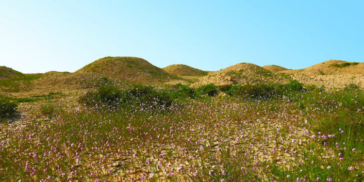 Dilmun, Bahrejn. UNESCO ka njohur një sërë vendesh arkeologjike nëpër Bahrejn, të cilat kanë rreth 11.774 varre të lashta, që nga viti 2050 e deri në vitin 1750 para erës sonë, të cilat janë unike në të gjithë botën.