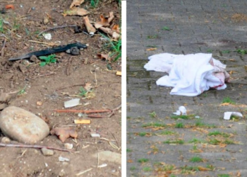 FOTO/ Sherri për një ndeshje futbolli i merr jetën 18-vjeçarit shqiptar në Itali