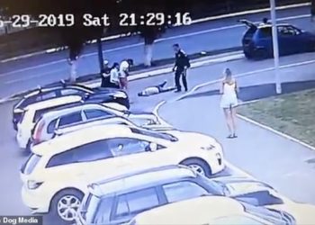 VIDEO/ Me plagët e thikës në bark, djali qëndron në këmbë dhe rrëzon në tokë agresorin