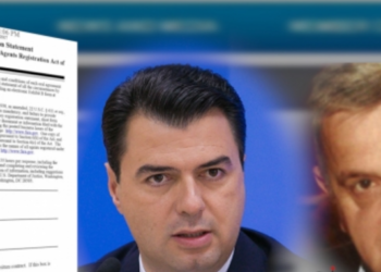 PD i jep 10 mijë euro në muaj kompanisë që loboi për tregtarin serb të armëve