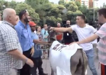 Militantët e PD-së marrin edhe një gomar në protestën para Kryeministrisë (video)