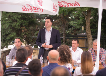 Basha kërkon zgjedhje të parakohshme nga Maliqi