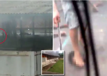 VIDEO+FOTO/ Pamjet e rënda nga përplasja mes bandave në burg ku vdiqën 57 persona