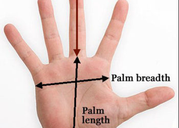 Gishtat tregojnë shëndetin e organeve, ja si t’i lexoni sëmundjet