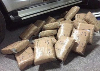 Sekuestrohen 300 kg kanabis në Shkodër, arrestohen 5 persona