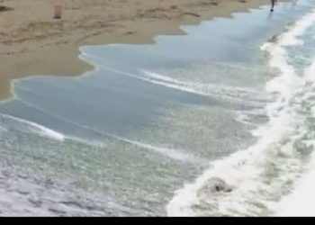 Humb jetën një pushues në plazhin e Tales, në Lezhë