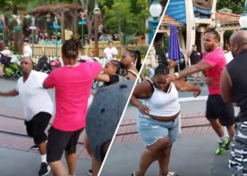 VIDEO/ Sherri mes burrave dhe grave tmerron turistët