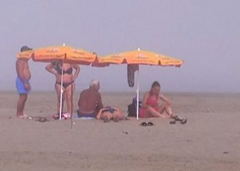 Mushkonjat “pushtojnë” Divjakën, ISHP: Kemi nisus dezinsektimin