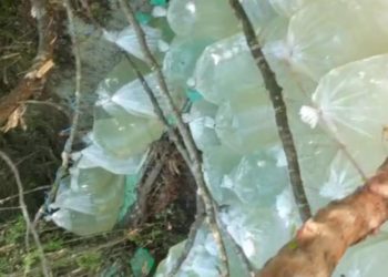 “Lugina 2”/ Policia zbulon drogën në Tiranë, pranga 2 vëllezërve, i treti në kërkim