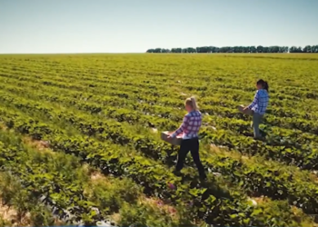 “Heroina e punës kapitaliste”
