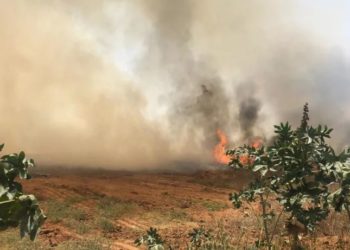 VIDEO/ Digjet Izraeli, zjarre dhe temperatura deri në 50 gradë celsius, qindra të evakuuar