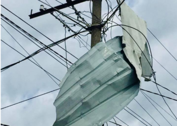 FOTO/ Moti i keq, llamarina përfundon në shtyllën e tensionit të lartë, rrëzimi i pemëve dëmtoi rrjetin