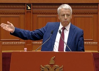 Lleshaj: Kufiri ynë nuk është me tela me gjemba, siç futen cigaret kontrabandë, futen edhe armë