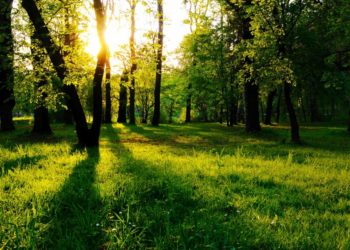 Rriten temperaturat! Ja si parashikohet moti për sot