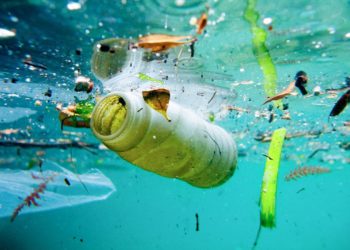 Plastika në det shqetëson globin, rrezikohet edhe Shqipëria