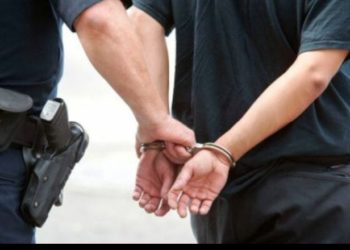 Kultivonte bimë narkotike, pranga 37-vjeçarit në Vlorë