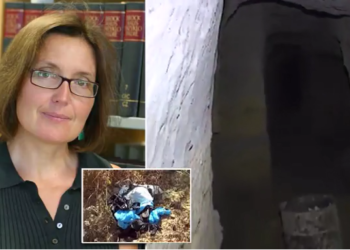 VIDEO/ U raportua e zhdukur, shkencëtarja amerikane gjendet e vrarë në bunkerin e Kretës