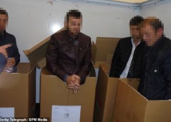 Angli/ Arrestohen 4 shqiptarë që udhëtonin të fshehur brenda kartonëve në një kamion