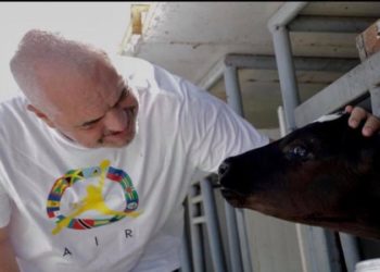 Rama i përgjigjet Metës dhe Darkos me një viç