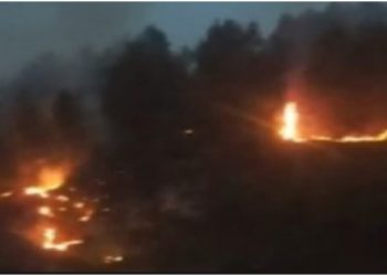 Zjarri rrezikon tokat me ullinj dhe varrezat në Patos