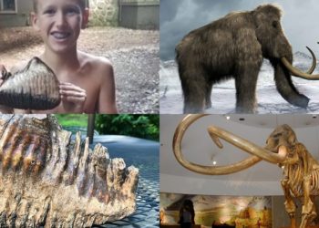 Adoleshenti gjen në përrua dhëmbin e “gjigantit” parahistorik