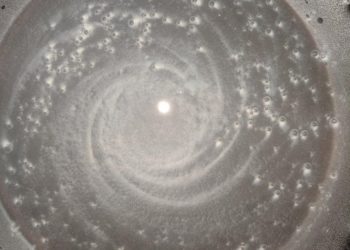 Kujdes nga këto foto hipnotizuese, asgjë nuk është si duket