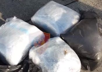 Pranga shoferit të kamionit në Durrës, fshehu 55 kg kanabis në mjet