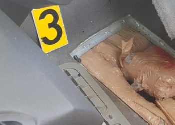 Pranga 34-vjeçarit në Qafë Botë, qeni i zbuloi drogën në makinë