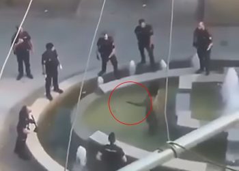 Pamje mbresëlënëse si polici hero arreston agresorin me thikë në dorë (video)