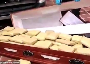 Fshehën 300 kg kanabis në arkivol, por zbulohen nga kontrolli rutinë i policisë (video)