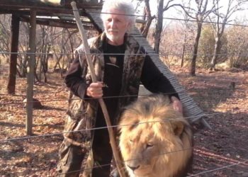 “Njeriu luan” sulmohet për vdekje nga mbretërit e xhunglës