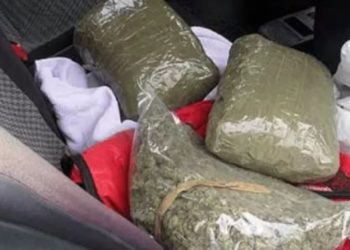Policia në portin e Vlorës sekuestron 20 kg kanabis, ishte fshehur në sediljen e pasme të makinës