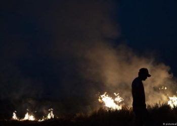 Zjarret në Amazona, si po digjet pylli më i madh tropikal në botë