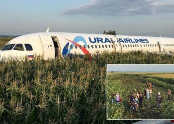 VIDEO/ Panik mes pasagjerëve, aeroplani bën ulje të detyruar në fushën e misrit, shkak përplasja me zogjtë